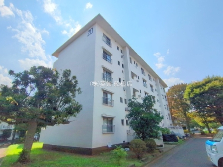 ��t���D���s�Č���1���ڂ̒��Ã}���V�����̌��n�O�ώʐ^