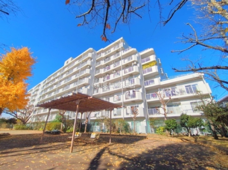 ��t���D���s����1���ڂ̒��Ã}���V�����̌��n�O�ώʐ^