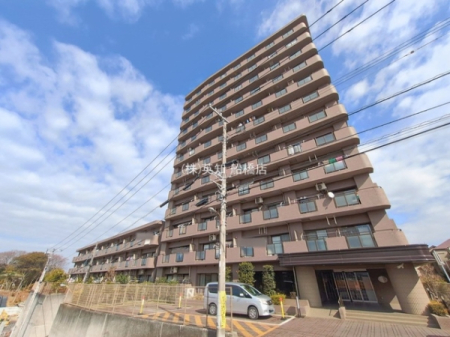 ��t���D���s��{1���ڂ̒��Ã}���V�����̉摜