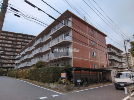 ��t���D���s�C�_����1���ڂ̒��Ã}���V�����̉摜