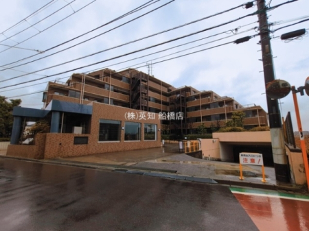 ��t���D���s��{1���ڂ̒��Ã}���V�����̉摜